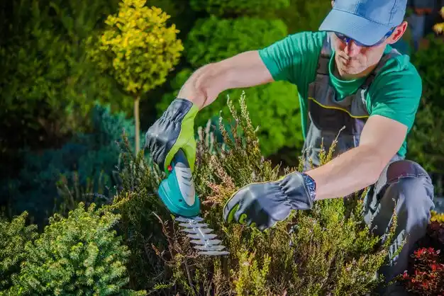 landscaping services Lamar